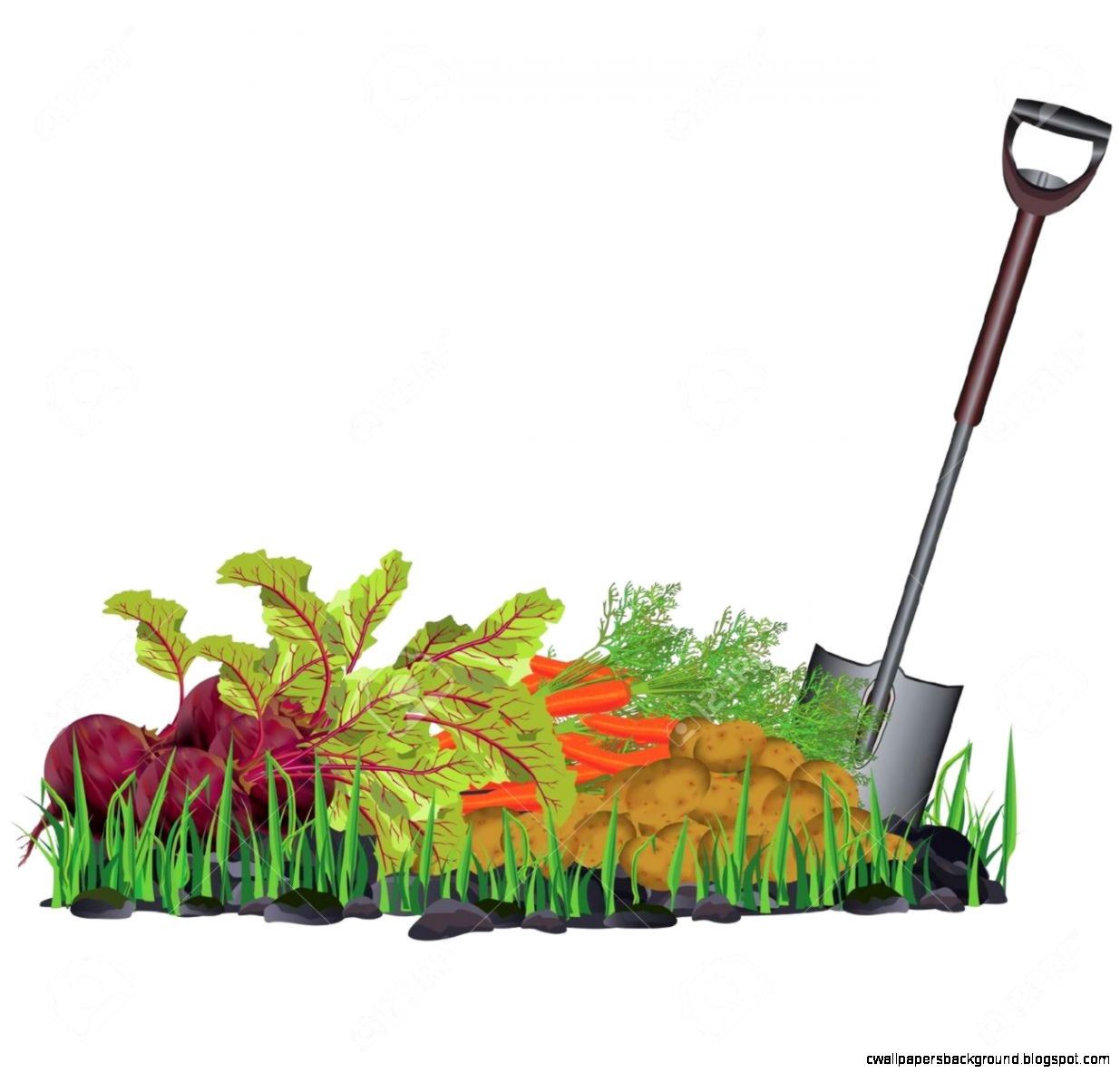 community garden Opens in new window